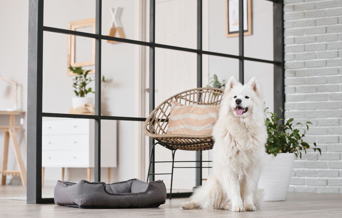 Porcelain floor tiles are perfect for a busy home and make the perfect addition