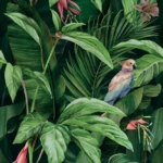 Tropical